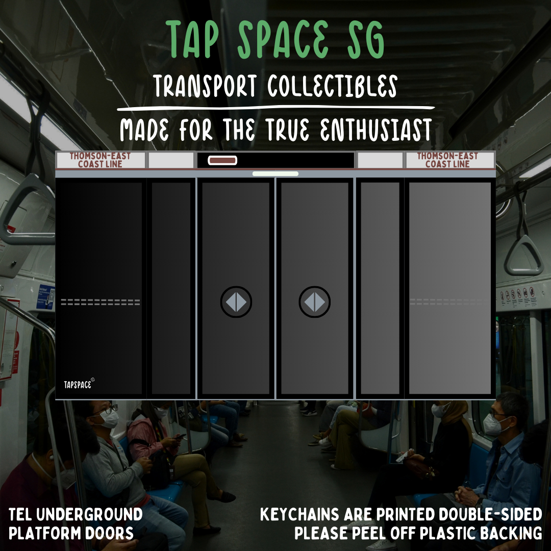 Thomson-East Coast Line Platform Doors MRT Icons Keychain