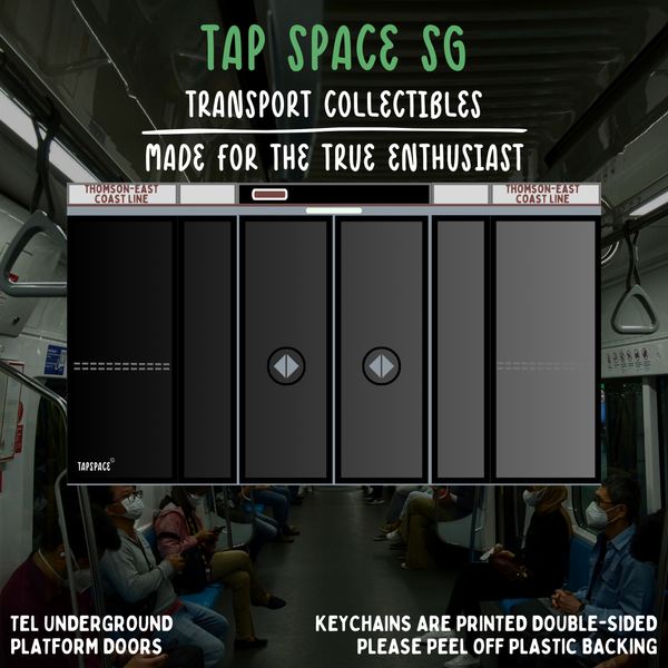 Thomson-East Coast Line Platform Doors MRT Icons Keychain