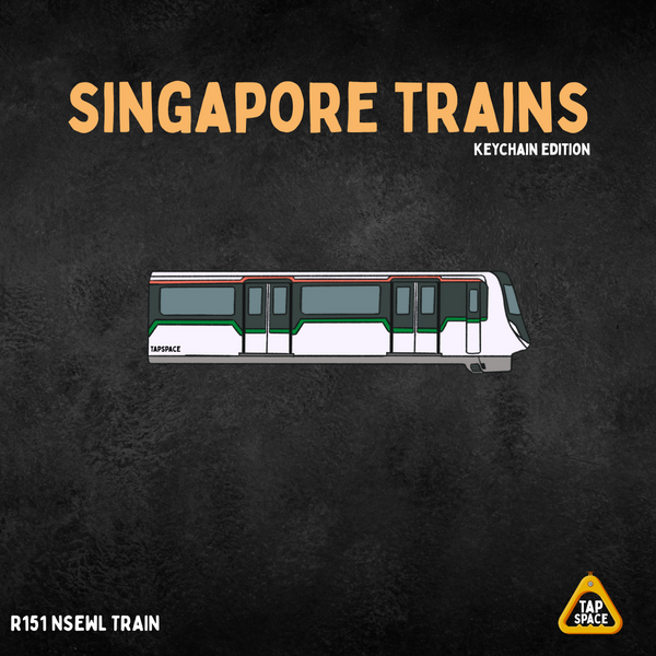 R151 NSEWL MRT Train Keychain