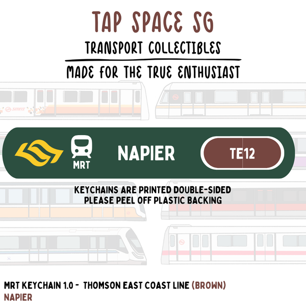 Napier MRT Station Keychain