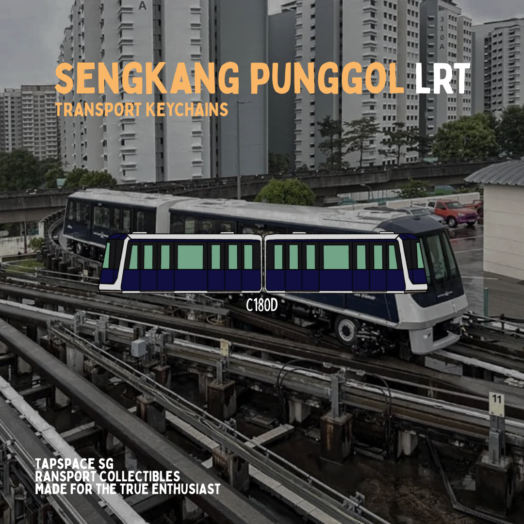 APM300R BPLRT Train Keychain