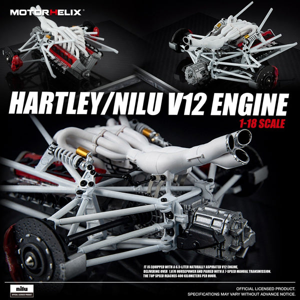 [MOTORHELIX] 1:18 Hartley/Nilu V12 Engine
